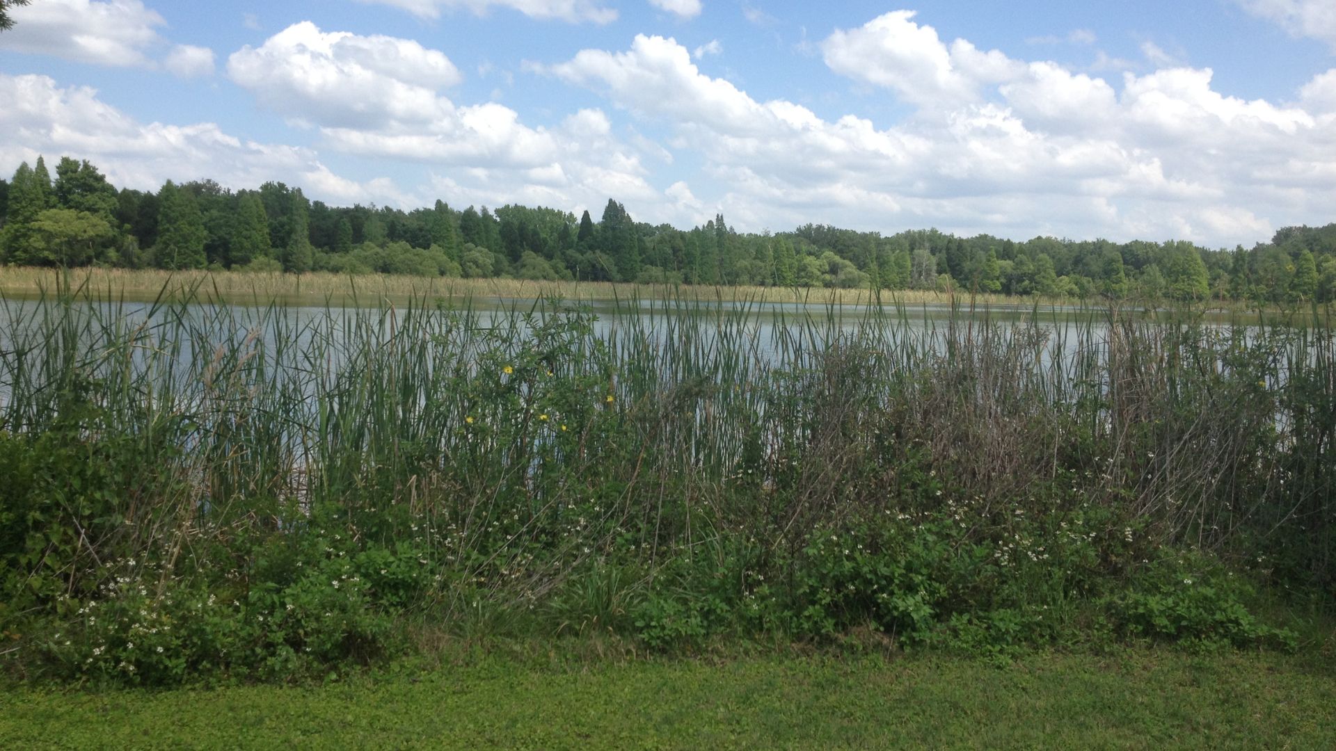 A person reviewing a map at a scenic overlook